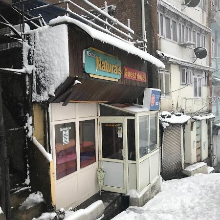 Exotic Naturals Guest House Shimla Exterior photo